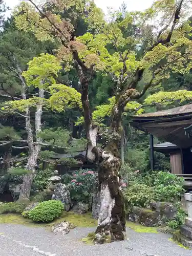 光台院(和歌山県)