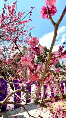 北野天満宮(京都府)