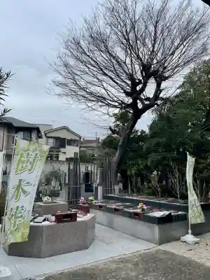 正慶寺の{uncategorized: "未分類", other: "その他", undefined: "問題あり", building: "その他建物", grave: "お墓", sacred_gate: "鳥居", guardian: "狛犬", statue: "像", buddha: "仏像", history: "歴史", nature: "自然", garden: "庭園", animal: "動物", pagoda: "塔", temizu: "手水舎", mountain_gate: "山門・神門", sanctuary: "本殿・本堂", subordinate: "末社・摂社", art: "芸術", scenery: "景色", jizo: "地蔵", ema: "絵馬", goshuin: "御朱印", omikuji: "おみくじ", items: "授与品その他", amulet: "お守り", goshuincho: "御朱印帳", eats: "食事", festival: "お祭り", votive_dance: "神楽", shichigosan: "七五三参", wedding: "結婚式", experience: "体験その他", initially: "初詣", around: "周辺", anti_infection: "感染症対策"}