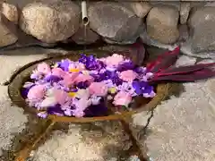 生田神社の手水