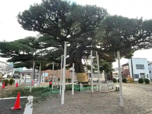 日保見山八幡宮の{uncategorized: "未分類", other: "その他", undefined: "問題あり", building: "その他建物", grave: "お墓", sacred_gate: "鳥居", guardian: "狛犬", statue: "像", buddha: "仏像", history: "歴史", nature: "自然", garden: "庭園", animal: "動物", pagoda: "塔", temizu: "手水舎", mountain_gate: "山門・神門", sanctuary: "本殿・本堂", subordinate: "末社・摂社", art: "芸術", scenery: "景色", jizo: "地蔵", ema: "絵馬", goshuin: "御朱印", omikuji: "おみくじ", items: "授与品その他", amulet: "お守り", goshuincho: "御朱印帳", eats: "食事", festival: "お祭り", votive_dance: "神楽", shichigosan: "七五三参", wedding: "結婚式", experience: "体験その他", initially: "初詣", around: "周辺", anti_infection: "感染症対策"}