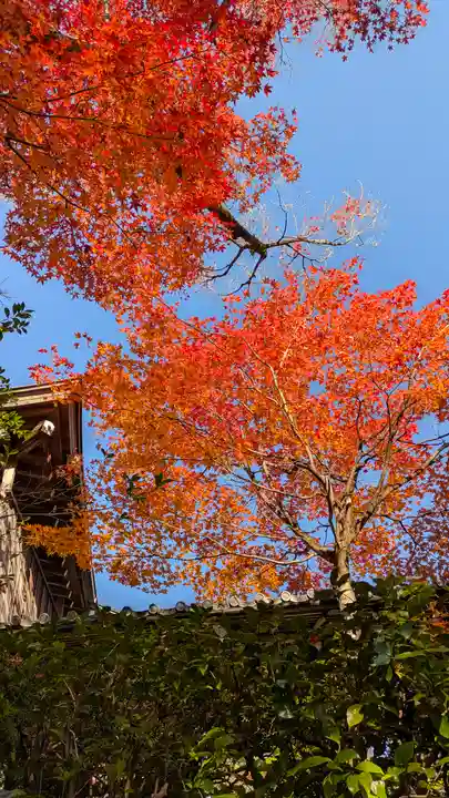 光悦寺(京都府)