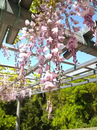 阿智神社の自然