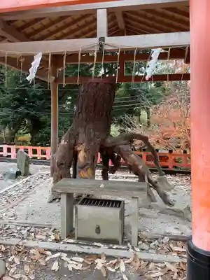 伏見稲荷大社(京都府)