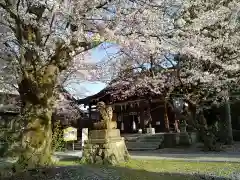  湊八幡神社(福井県)