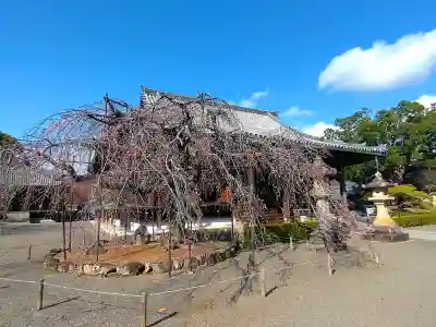 道成寺(和歌山県)