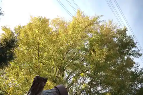 興長禅寺の自然