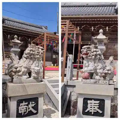 金井神社の狛犬