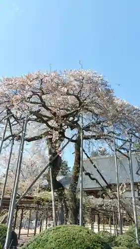 無量壽院(千葉県)