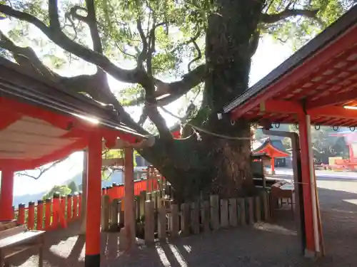 熊野那智大社(和歌山県)