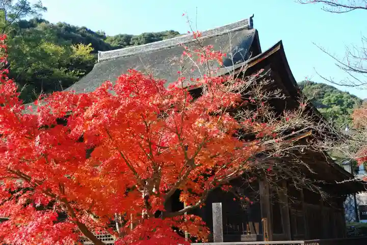 功山寺(山口県)