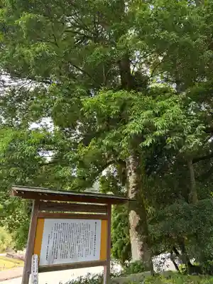 男坂神社の自然