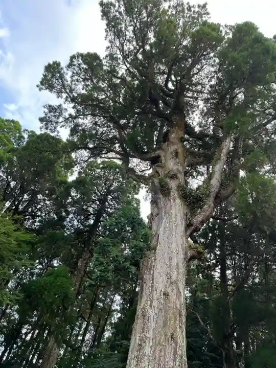霧島神宮(鹿児島県)