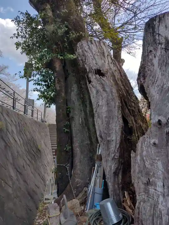 楠大明神(三重県)