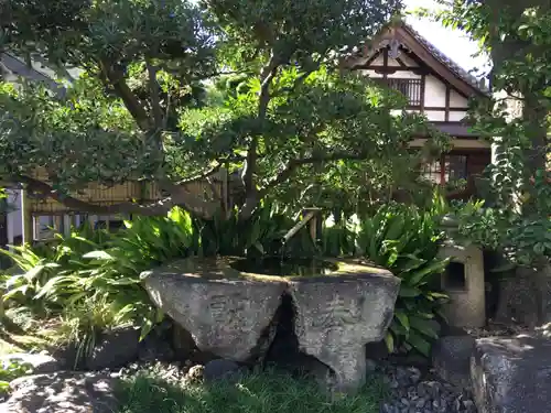 蓮花寺の手水舎