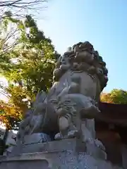 多賀神社の狛犬