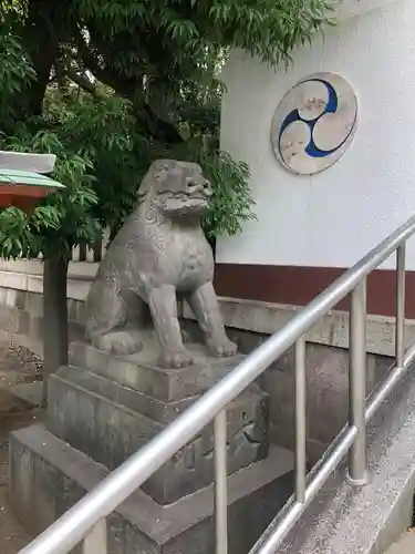 富岡八幡宮の狛犬