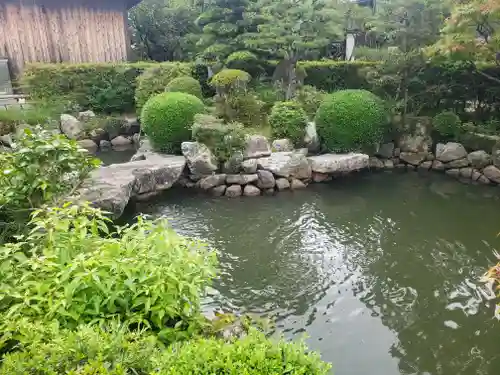 聖衆来迎寺の庭園