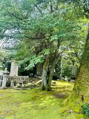 足羽神社(福井県)