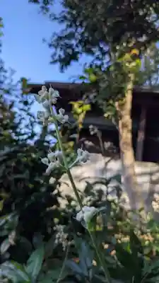 山神社・お福稲荷社・白龍大神(愛知県)