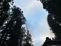 大宮温泉神社(栃木県)