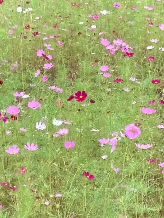 結縁寺(千葉県)