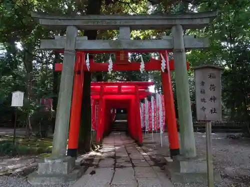 武蔵一宮氷川神社の鳥居