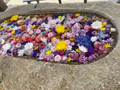 金井神社の手水