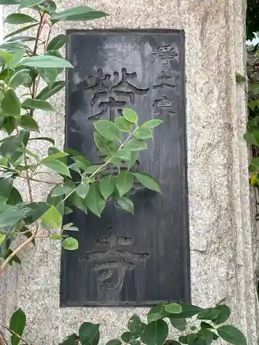 栄寿寺の{uncategorized: "未分類", other: "その他", undefined: "問題あり", building: "その他建物", grave: "お墓", sacred_gate: "鳥居", guardian: "狛犬", statue: "像", buddha: "仏像", history: "歴史", nature: "自然", garden: "庭園", animal: "動物", pagoda: "塔", temizu: "手水舎", mountain_gate: "山門・神門", sanctuary: "本殿・本堂", subordinate: "末社・摂社", art: "芸術", scenery: "景色", jizo: "地蔵", ema: "絵馬", goshuin: "御朱印", omikuji: "おみくじ", items: "授与品その他", amulet: "お守り", goshuincho: "御朱印帳", eats: "食事", festival: "お祭り", votive_dance: "神楽", shichigosan: "七五三参", wedding: "結婚式", experience: "体験その他", initially: "初詣", around: "周辺", anti_infection: "感染症対策"}