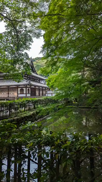 御寺 泉涌寺(京都府)