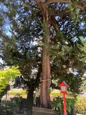 瀬戸神社(神奈川県)