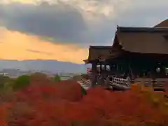 清水寺の本殿