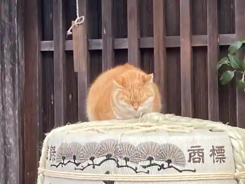 伊勢神宮内宮（皇大神宮）(三重県)