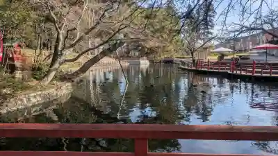 間々田八幡宮の{uncategorized: "未分類", other: "その他", undefined: "問題あり", building: "その他建物", grave: "お墓", sacred_gate: "鳥居", guardian: "狛犬", statue: "像", buddha: "仏像", history: "歴史", nature: "自然", garden: "庭園", animal: "動物", pagoda: "塔", temizu: "手水舎", mountain_gate: "山門・神門", sanctuary: "本殿・本堂", subordinate: "末社・摂社", art: "芸術", scenery: "景色", jizo: "地蔵", ema: "絵馬", goshuin: "御朱印", omikuji: "おみくじ", items: "授与品その他", amulet: "お守り", goshuincho: "御朱印帳", eats: "食事", festival: "お祭り", votive_dance: "神楽", shichigosan: "七五三参", wedding: "結婚式", experience: "体験その他", initially: "初詣", around: "周辺", anti_infection: "感染症対策"}