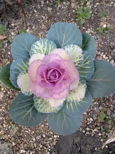 大綱金刀比羅神社(神奈川県)