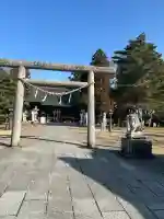 鳥谷崎神社の{uncategorized: "未分類", other: "その他", undefined: "問題あり", building: "その他建物", grave: "お墓", sacred_gate: "鳥居", guardian: "狛犬", statue: "像", buddha: "仏像", history: "歴史", nature: "自然", garden: "庭園", animal: "動物", pagoda: "塔", temizu: "手水舎", mountain_gate: "山門・神門", sanctuary: "本殿・本堂", subordinate: "末社・摂社", art: "芸術", scenery: "景色", jizo: "地蔵", ema: "絵馬", goshuin: "御朱印", omikuji: "おみくじ", items: "授与品その他", amulet: "お守り", goshuincho: "御朱印帳", eats: "食事", festival: "お祭り", votive_dance: "神楽", shichigosan: "七五三参", wedding: "結婚式", experience: "体験その他", initially: "初詣", around: "周辺", anti_infection: "感染症対策"}