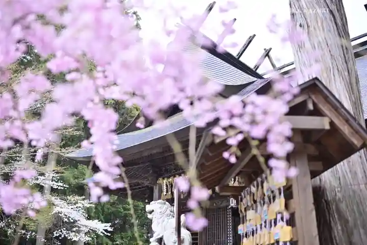 冨士御室浅間神社(山梨県)