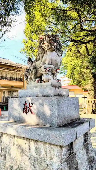 荻窪白山神社の狛犬
