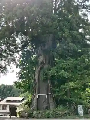 戸隠神社中社(長野県)