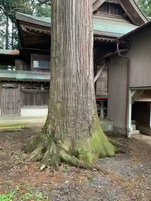 素鵞神社の自然