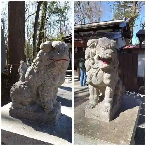 新屋山神社の狛犬