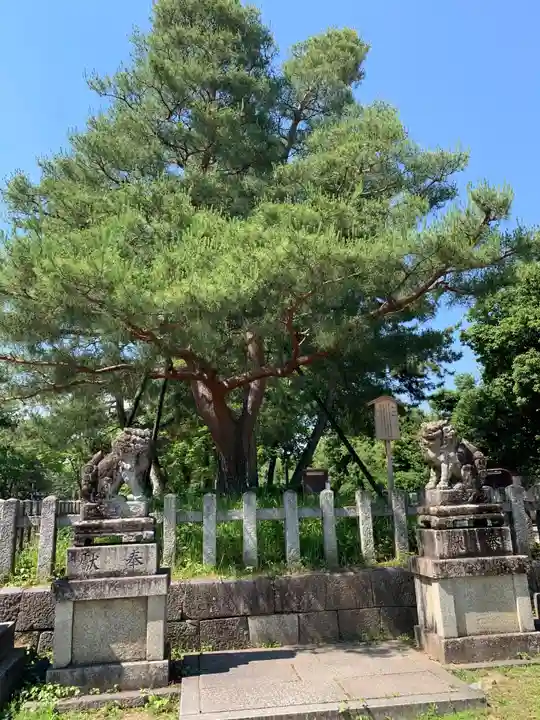 北野天満宮の庭園