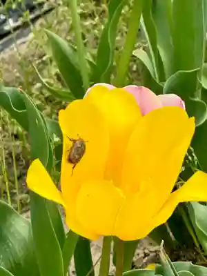 玉田神社(京都府)