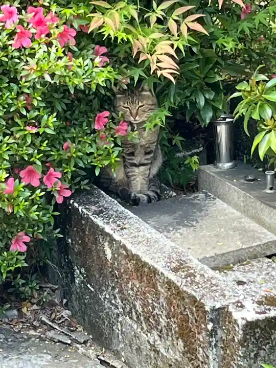 一燈寺(京都府)