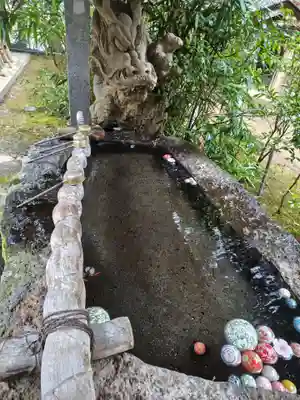 雲樹寺の御朱印