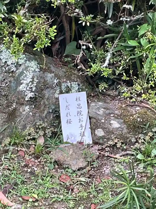 金蔵寺(京都府)