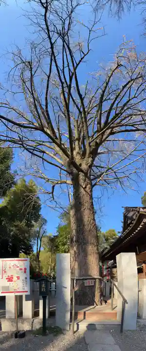田無神社(東京都)