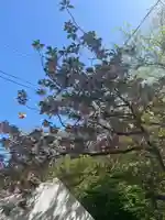 烏帽子山八幡宮(山形県)