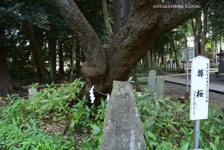 北野天神社(埼玉県)