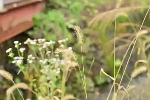 竹之高地不動社(新潟県)